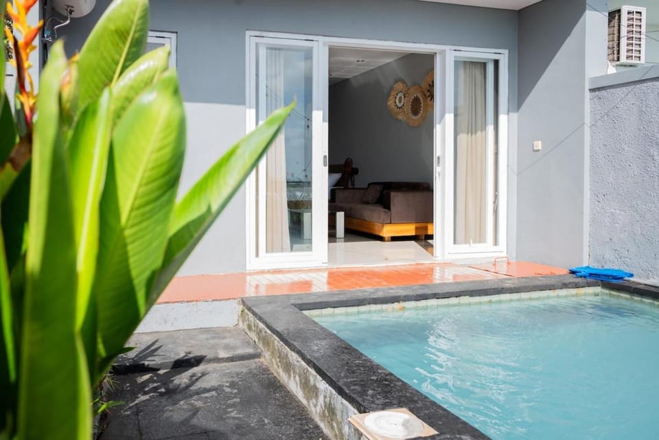 Day, Pool view, Swimming pool