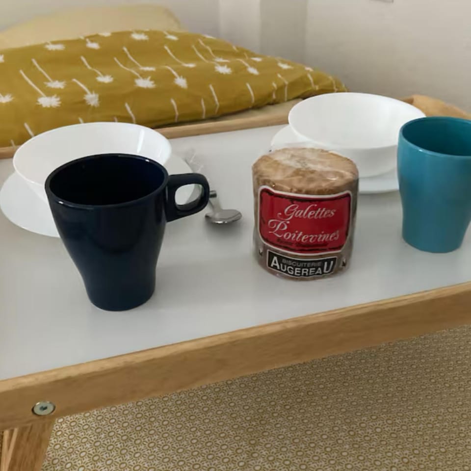 Studio bleu idéalement situé gare cœur de ville accès bus direct futuroscope Apartment in Poitiers