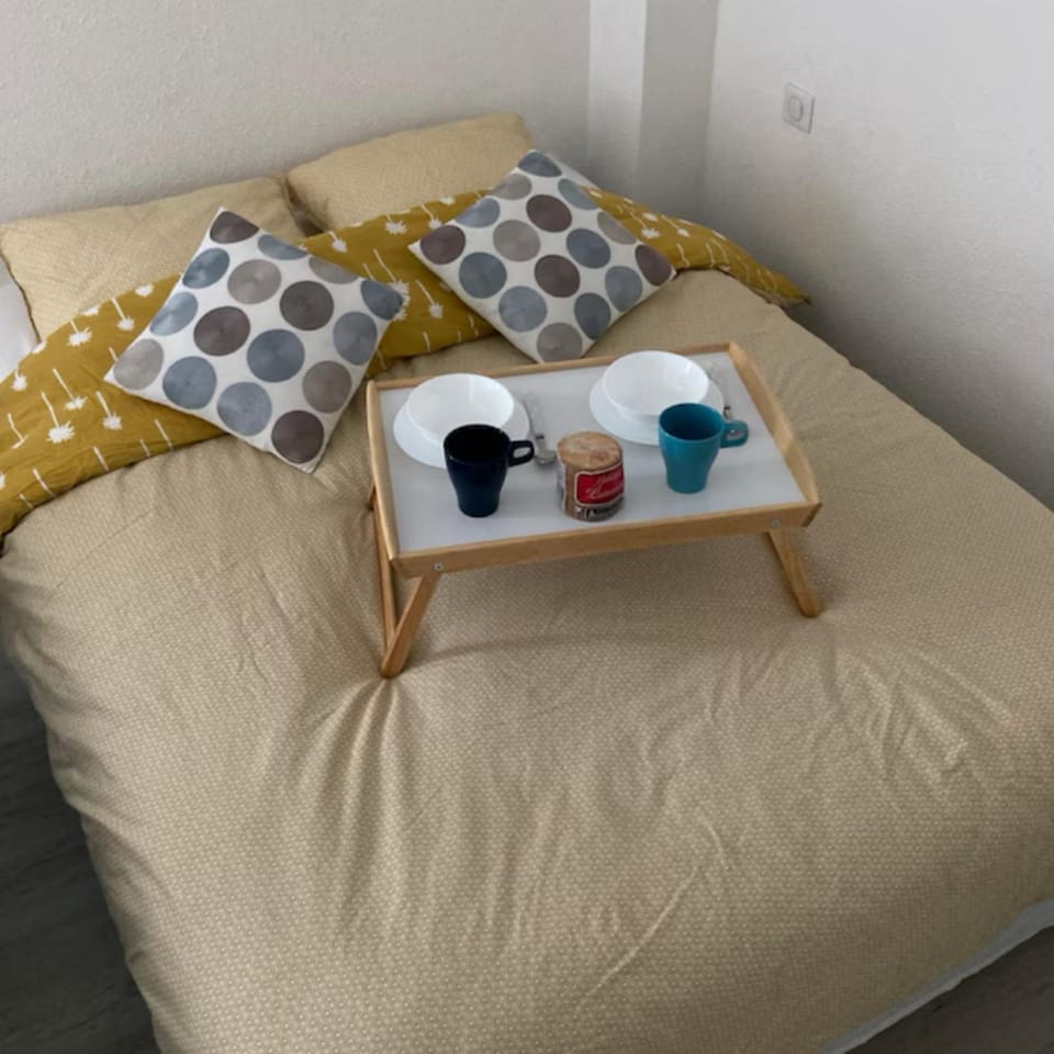 Studio bleu idéalement situé gare cœur de ville accès bus direct futuroscope Apartment in Poitiers