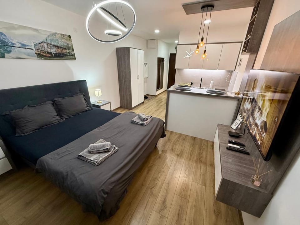 Bed, TV and multimedia, Kitchen or kitchenette, Living room, Photo of the whole room, Seating area, Bedroom, towels, wardrobe