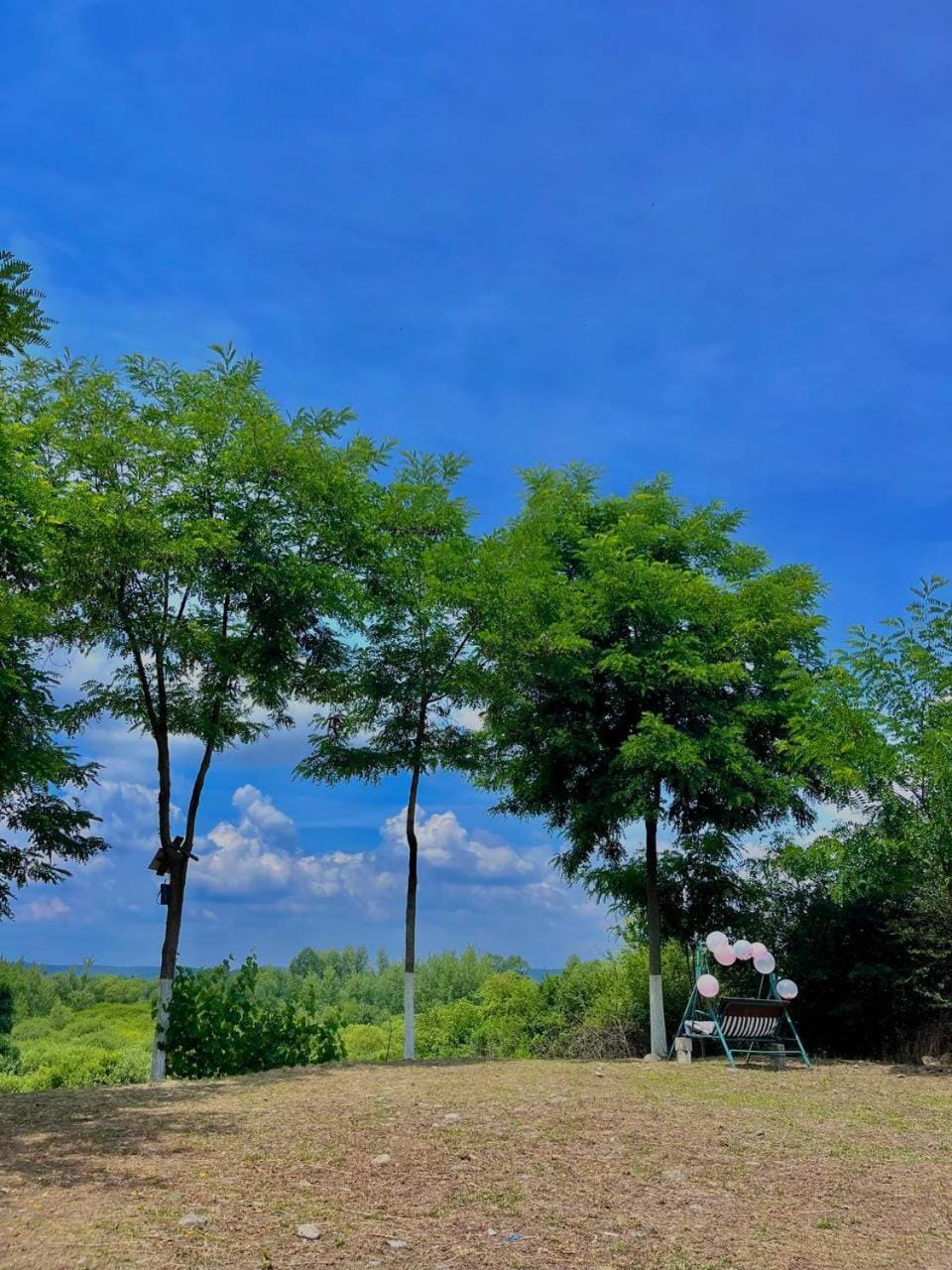 Natural landscape