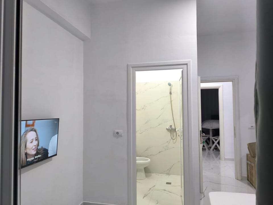 Toilet, TV and multimedia