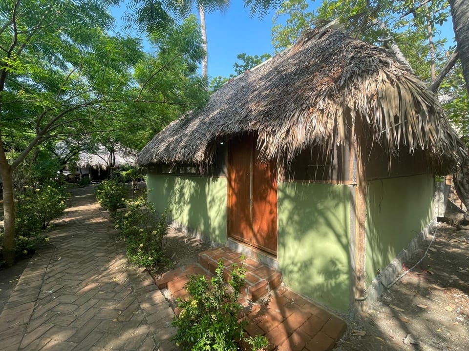 Property building, Garden view