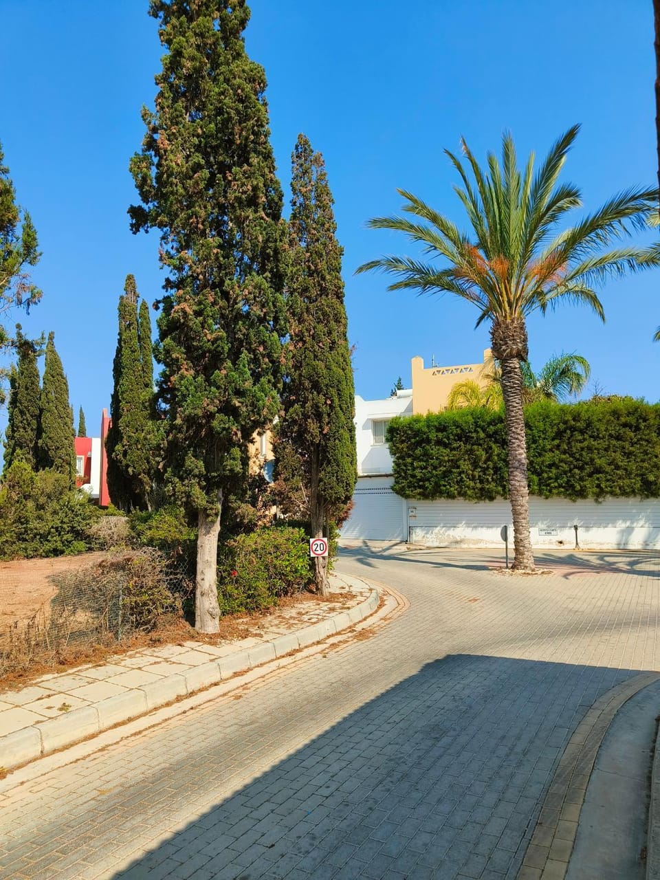 Natural landscape, Garden