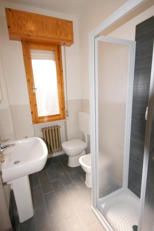 Shower, Toilet, Bathroom, bidet