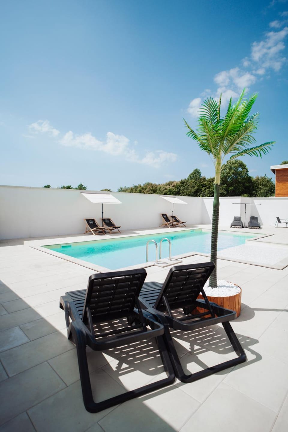 Patio, Day, Natural landscape, Pool view, Swimming pool, sunbed