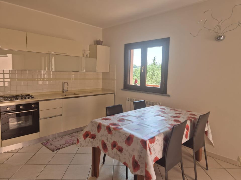 Kitchen or kitchenette, Dining area, oven, stove