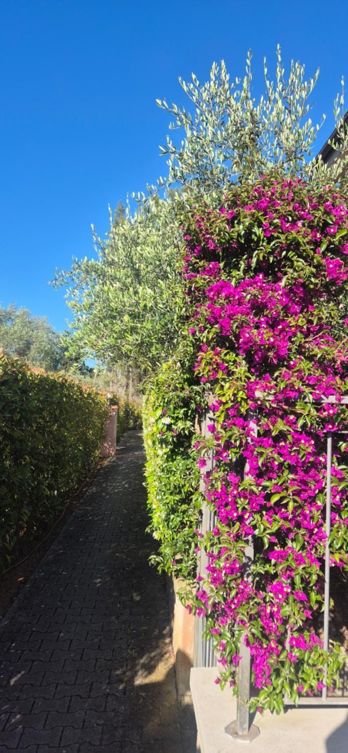 Casa Niki e Sole Apartment in Porto Azzurro