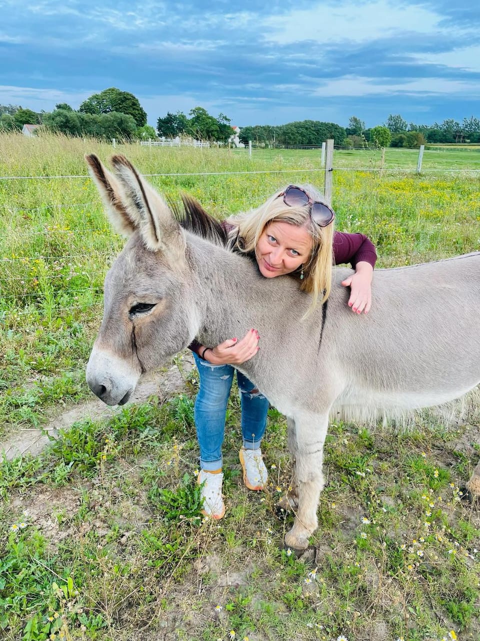 Frølundegaard B&B Campground/ 
RV Resort in Zealand