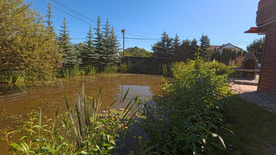 Natural landscape, Fishing, Garden, Garden view, Lake view