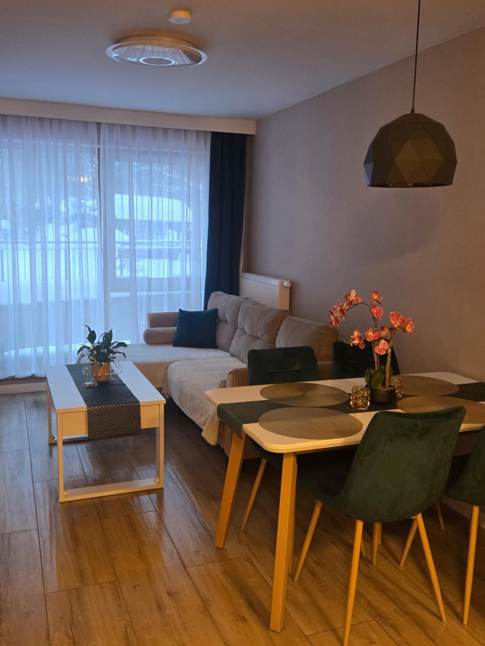 Bed, Living room, Photo of the whole room, Seating area, Dining area