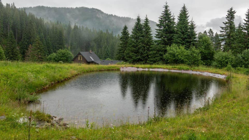 Lake view