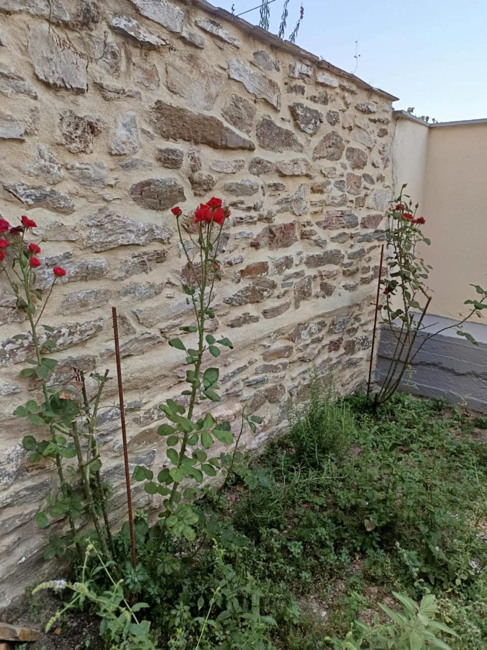 Garden, Garden view