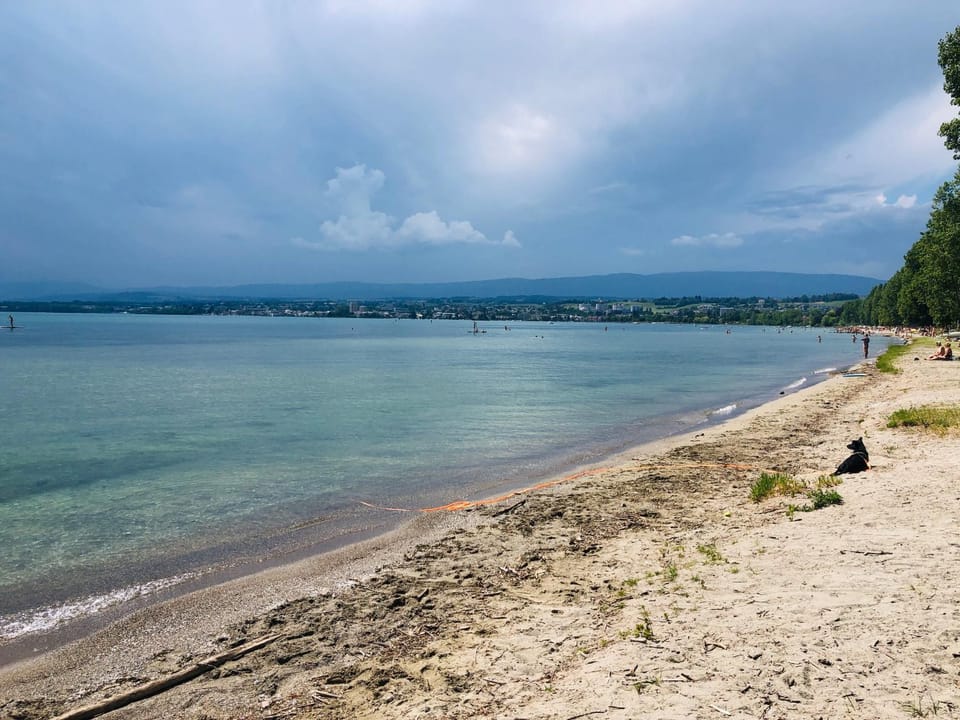 Appartement au lac dans villa de charme Apartment in Canton of Vaud