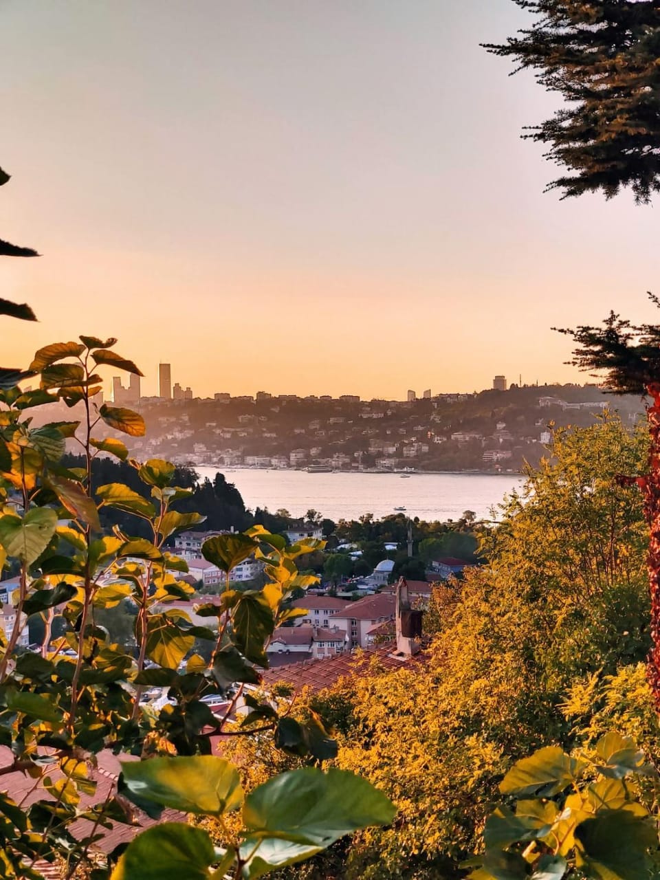 An Istanbul tale, an Istanbul dream, garden house Villa in Istanbul