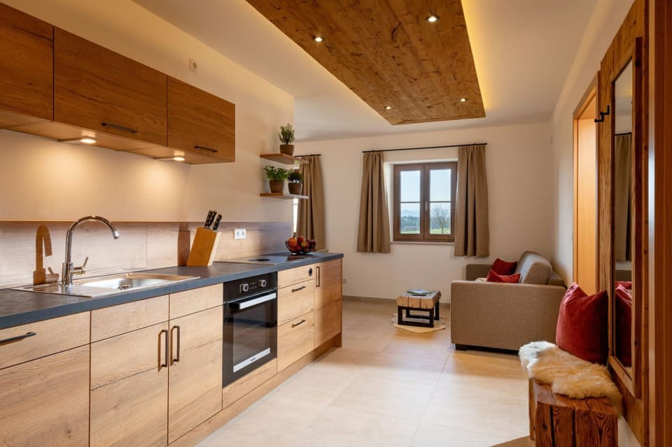 Kitchen or kitchenette, Living room, Seating area, dishwasher, stove