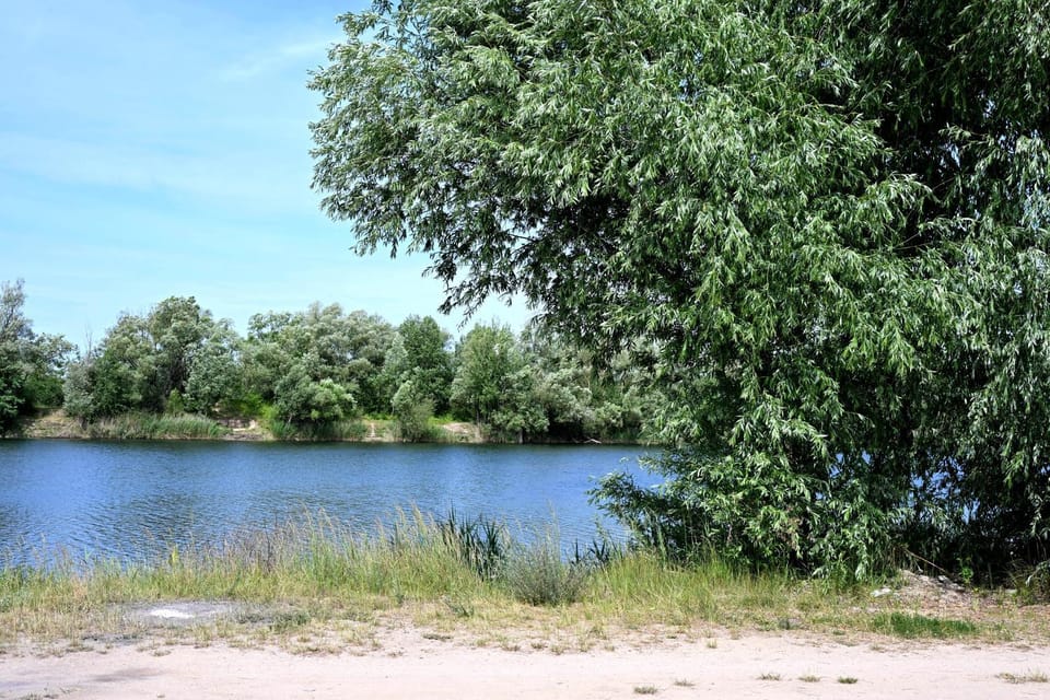 Lake view