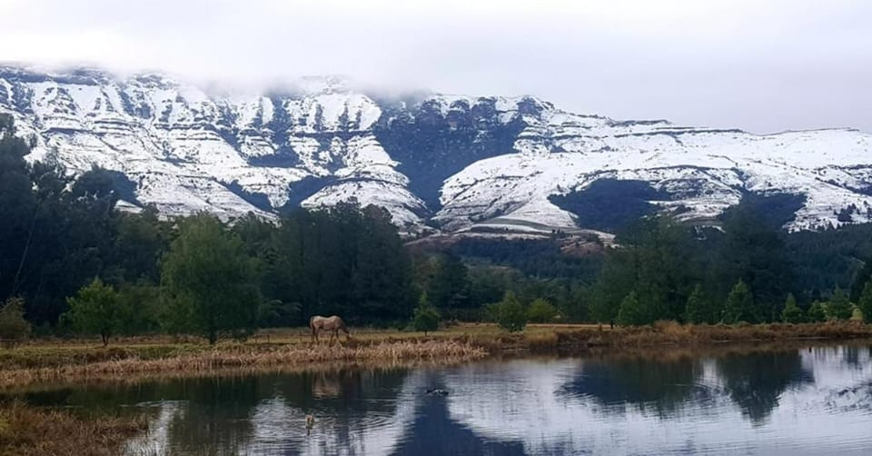 Whistling Woods Cabin at Drakensberg International Backpackers Cabin in KwaZulu-Natal