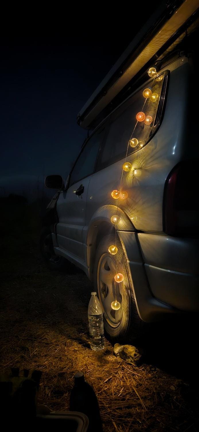 Night