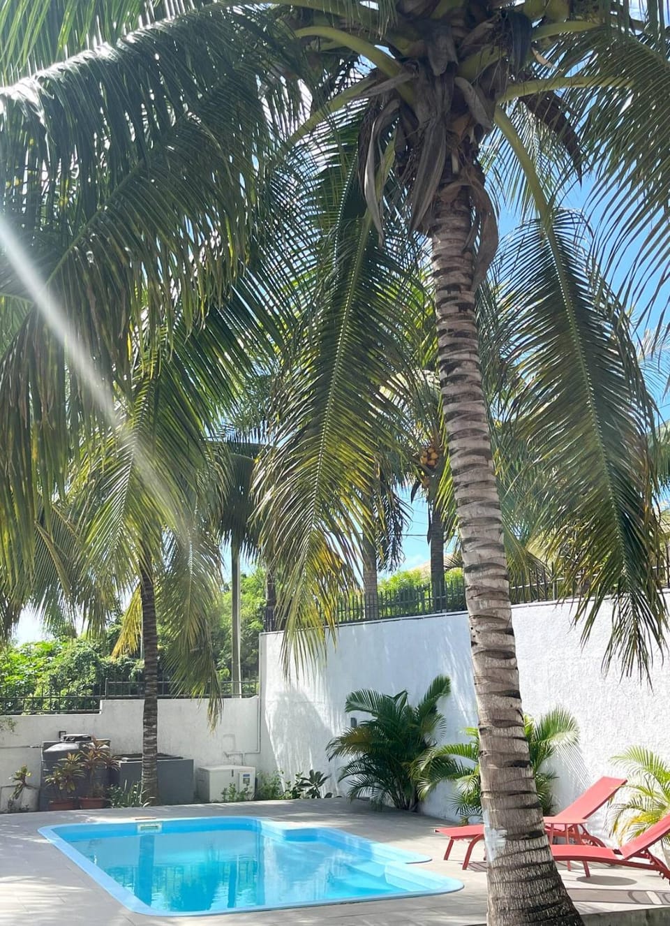 Garden, Garden, Garden view, Pool view, Swimming pool, Swimming pool, sunbed