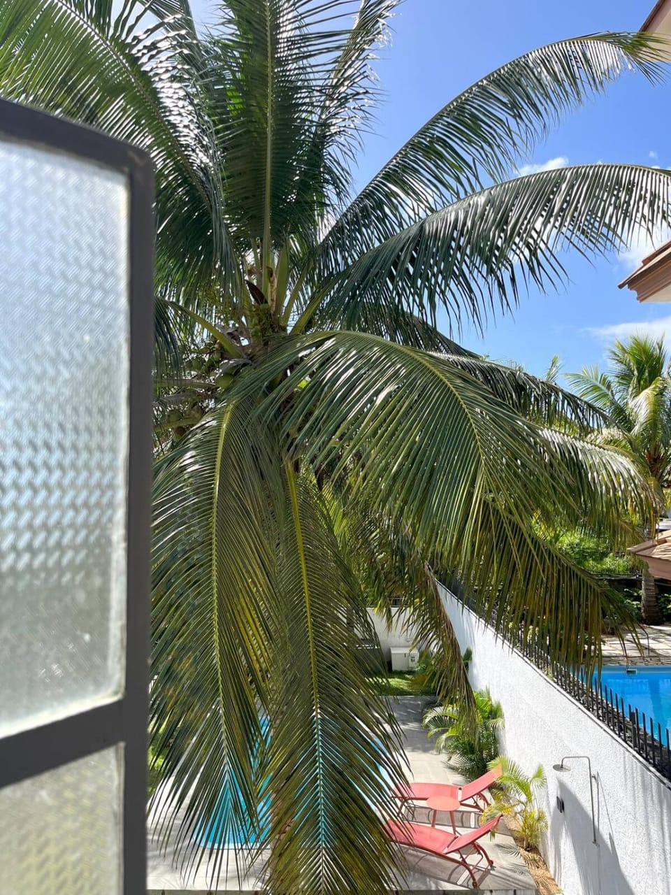 Pool view, Swimming pool, Swimming pool, sunbed