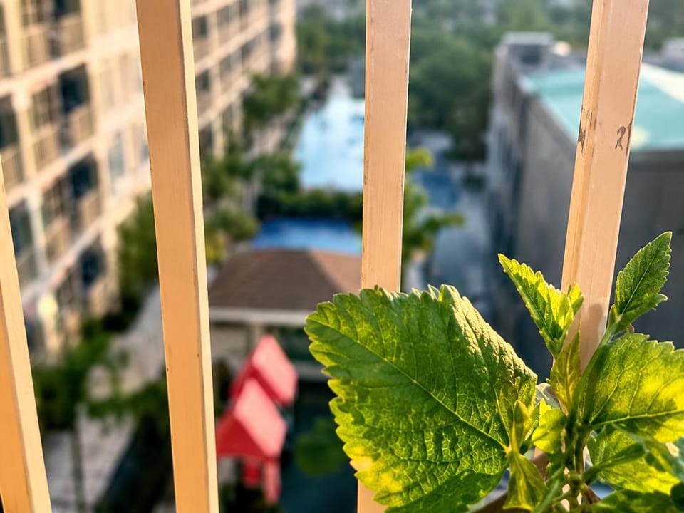 SMDC Coast Residences Levi & Moon Apartment hotel in Pasay