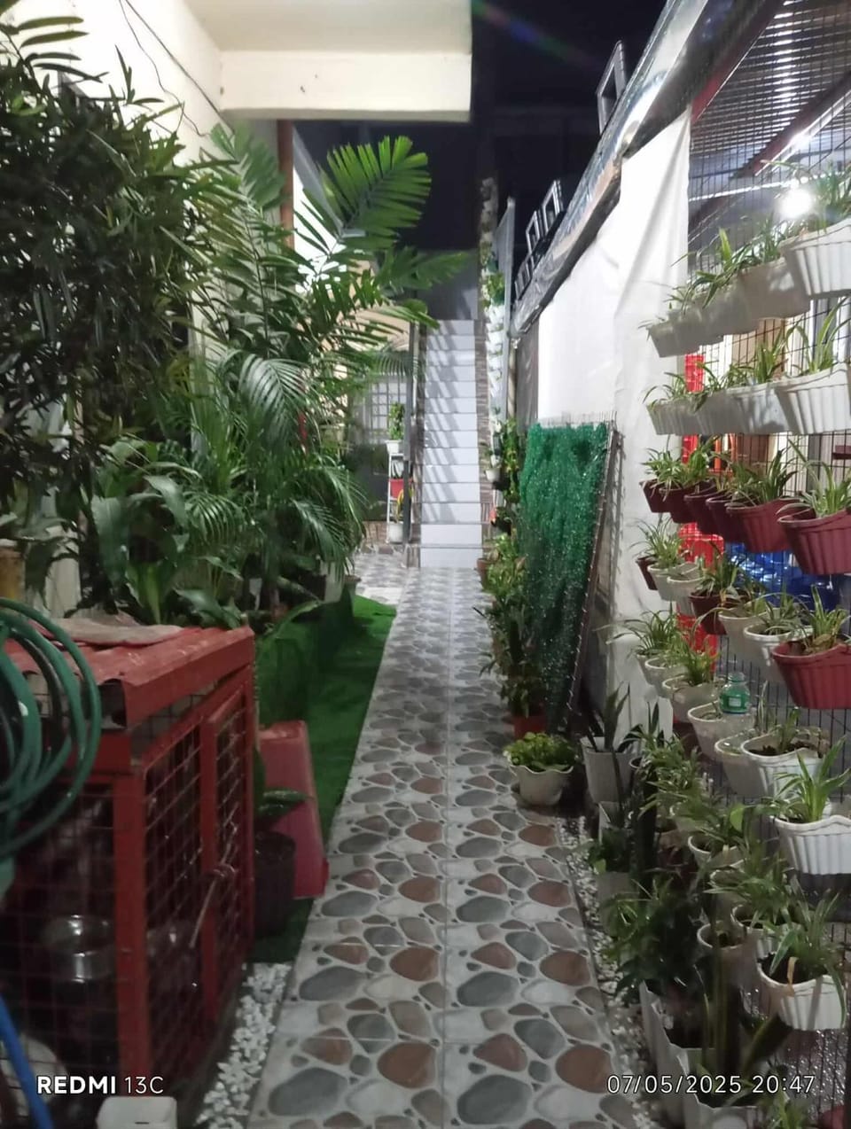 Garden view