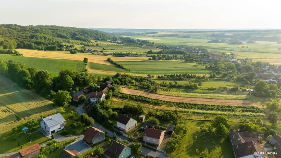 Spring, Neighbourhood, Natural landscape, Bird's eye view, Quiet street view