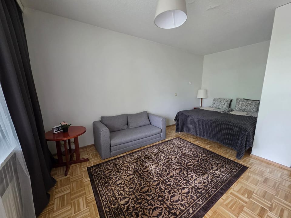 Studio at Tottinkatu Apartment in Finland