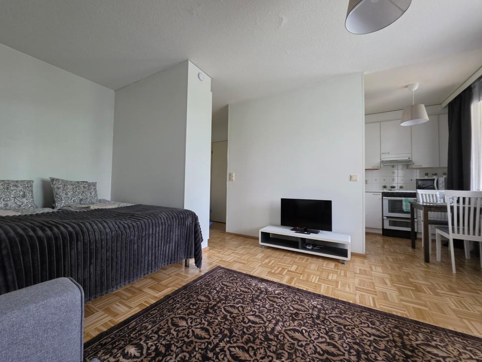 Studio at Tottinkatu Apartment in Finland