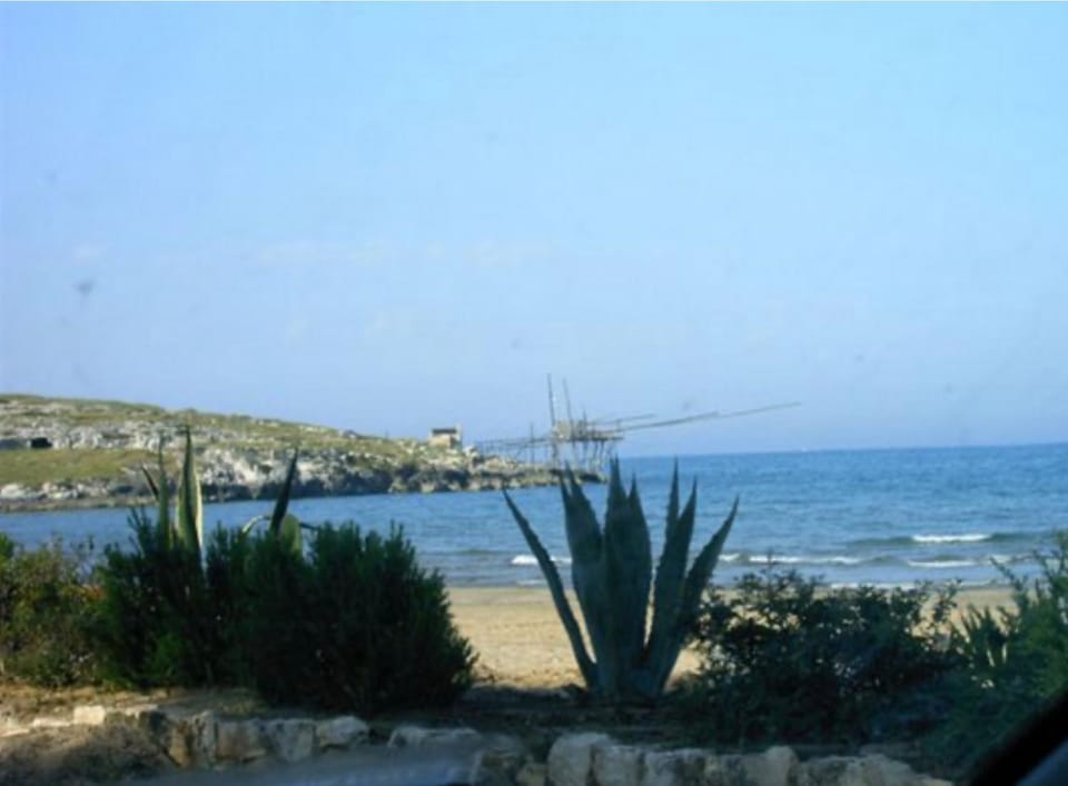 Beach, Beach, Guests, Guests