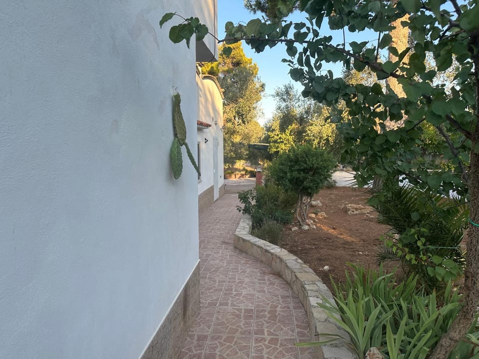 Day, Garden, Garden view
