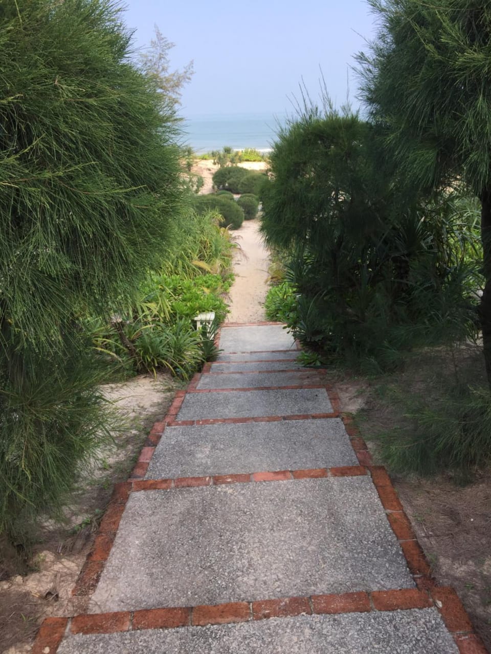 Garden, Sea view
