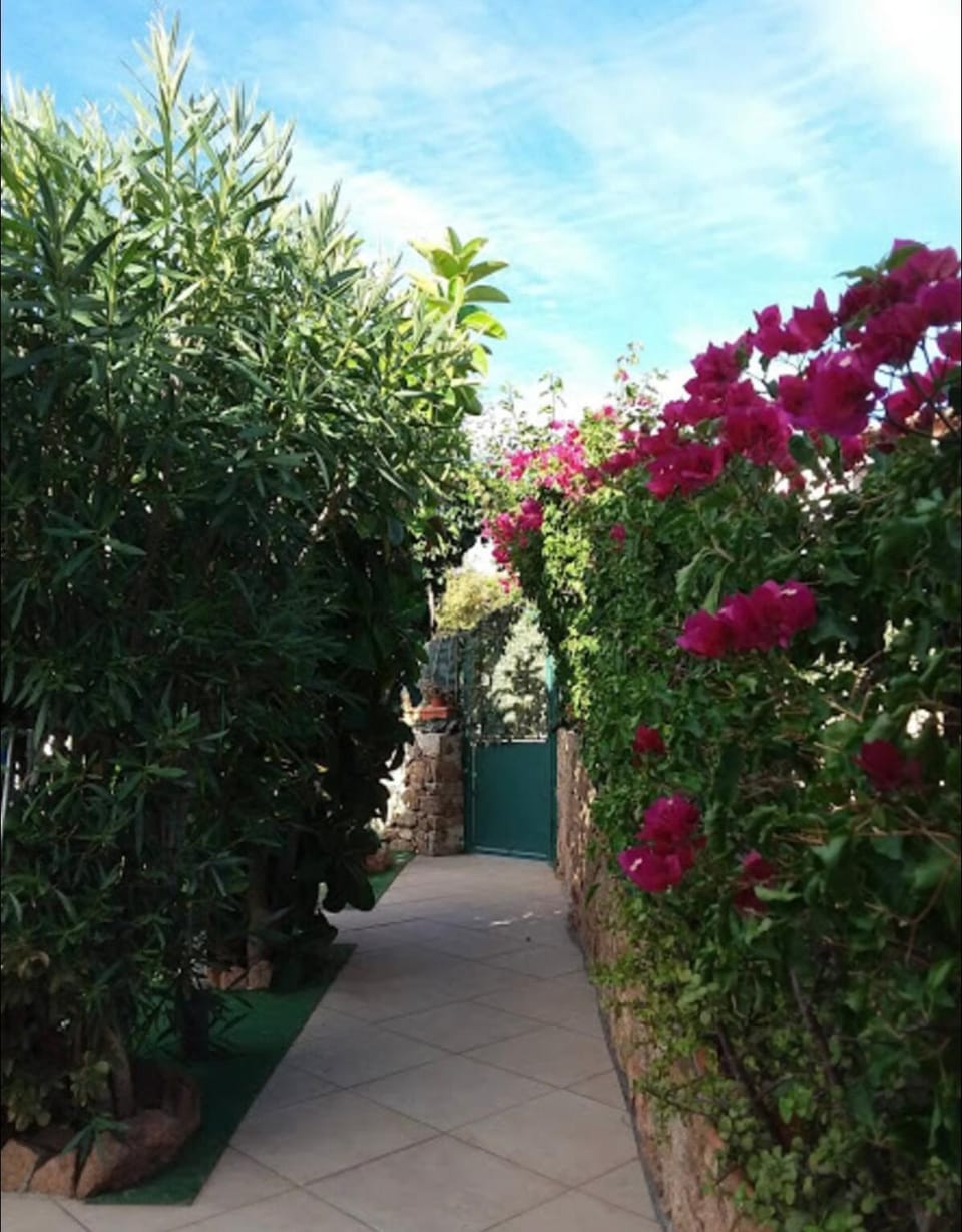 Garden, Garden, Garden view