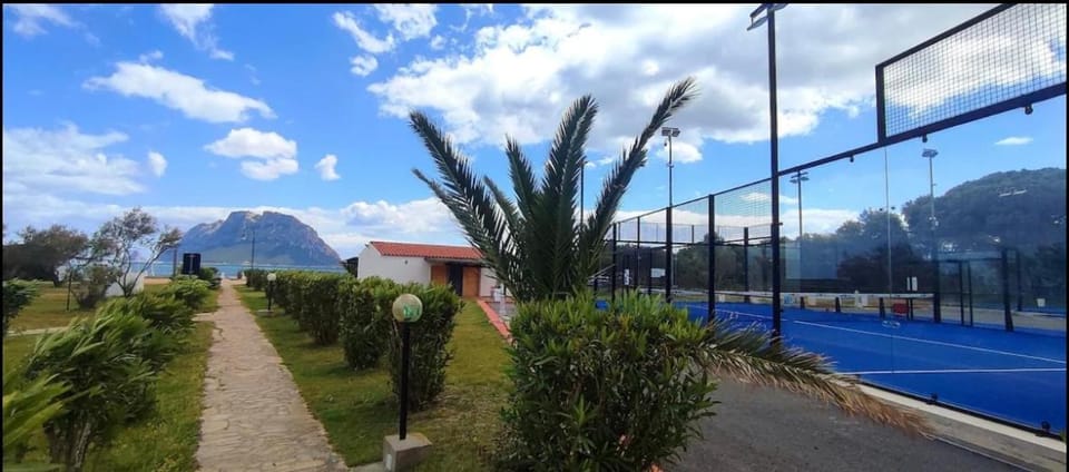 Tennis court, Tennis court