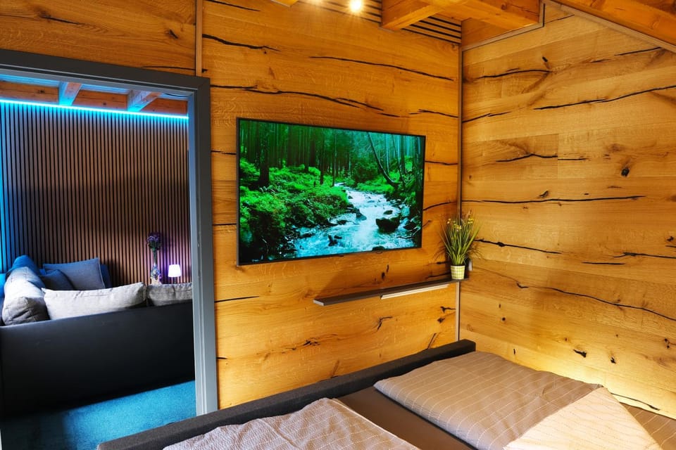 Communal lounge/ TV room, Bed, TV and multimedia, Photo of the whole room, Bedroom