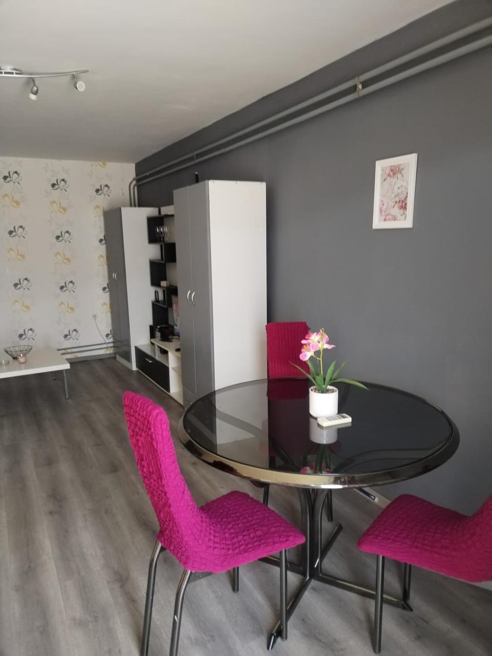 Apartman M&D Bed and Breakfast in Vojvodina