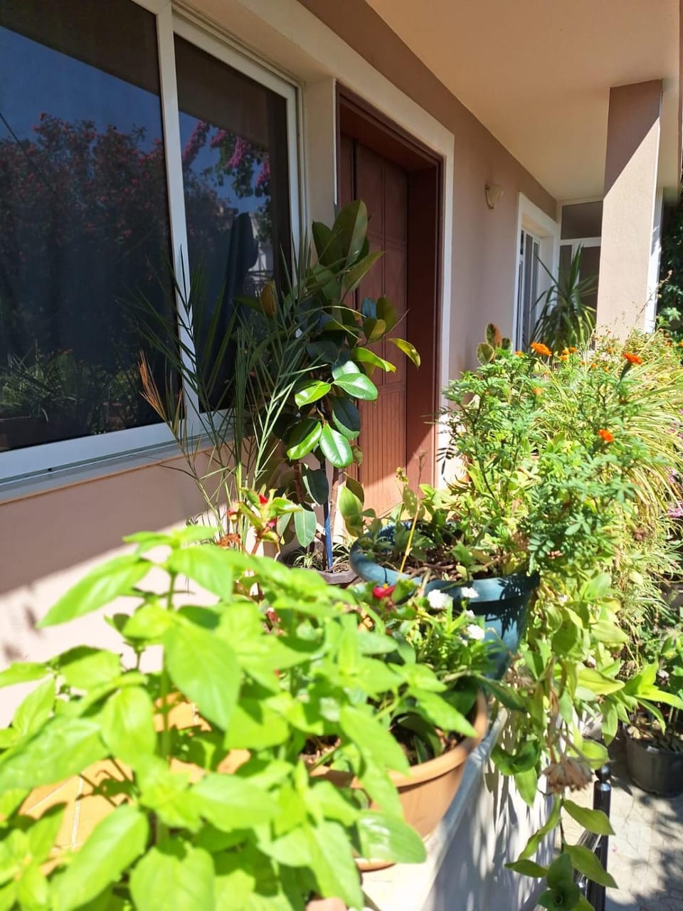 Garden view