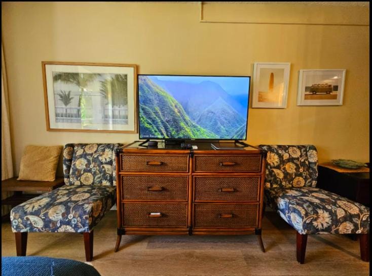 TV and multimedia