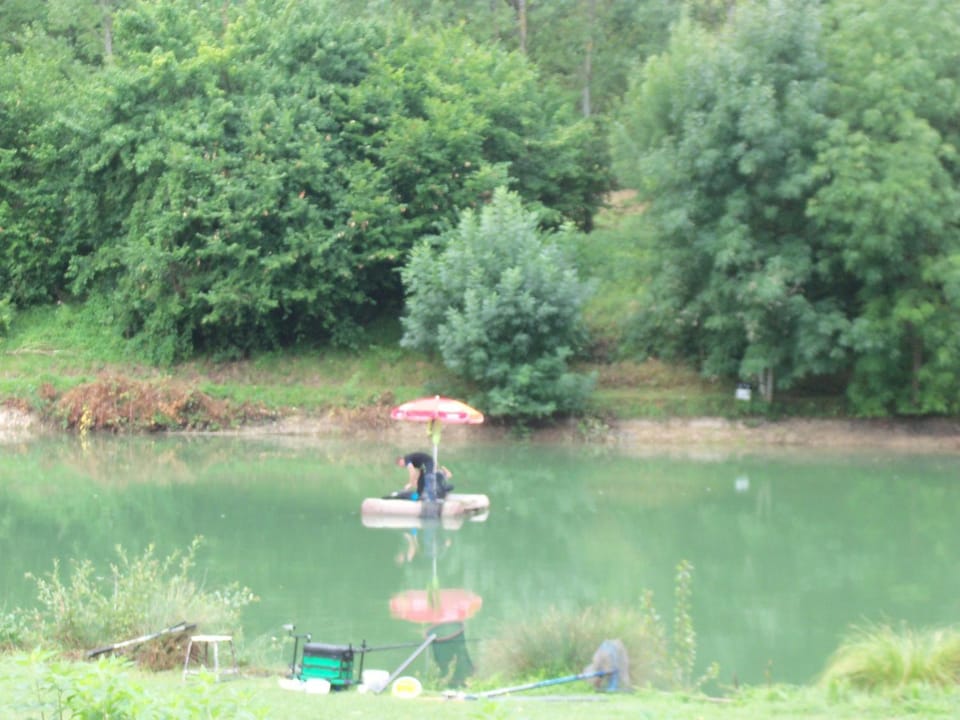 Lake view