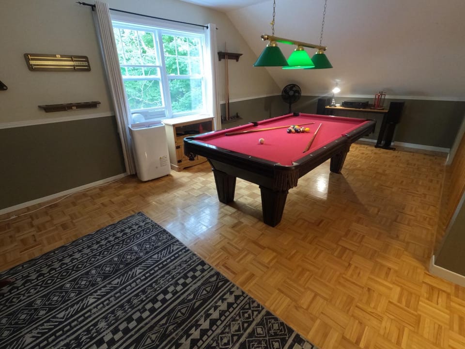 Billiard, Game Room