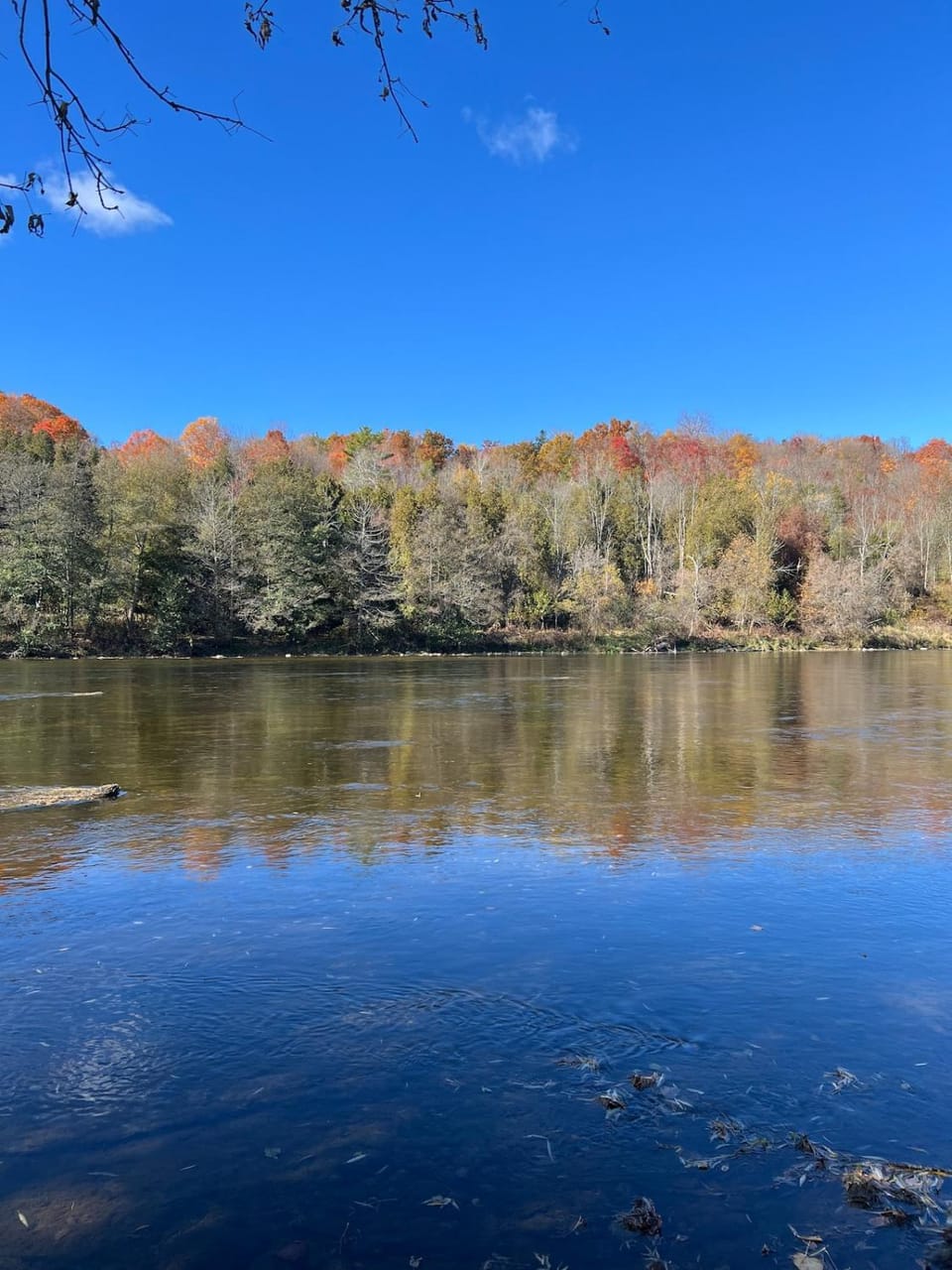 Natural landscape, River view