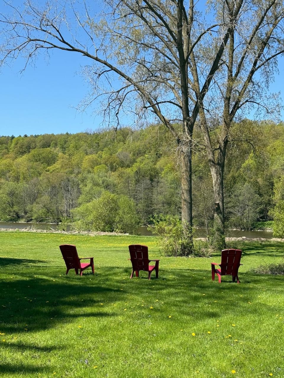 Natural landscape, Garden view