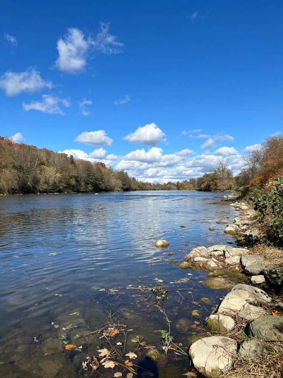 Grand River Entire Cottage near Cambridge and Brantford House in Brant