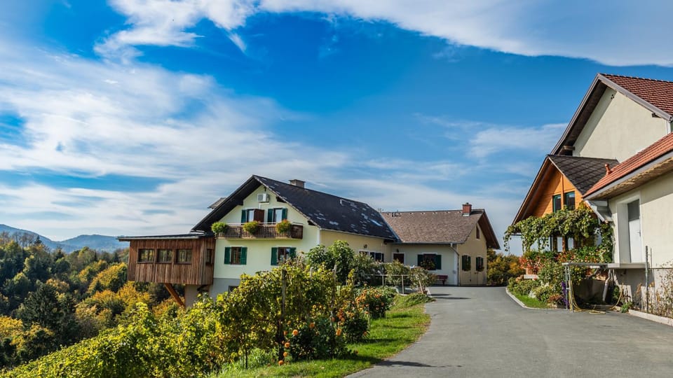 Weingut Hernach vlg Roschitz Bed and Breakfast in Styria