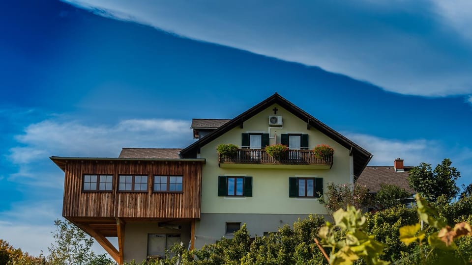 Weingut Hernach vlg Roschitz Bed and Breakfast in Styria