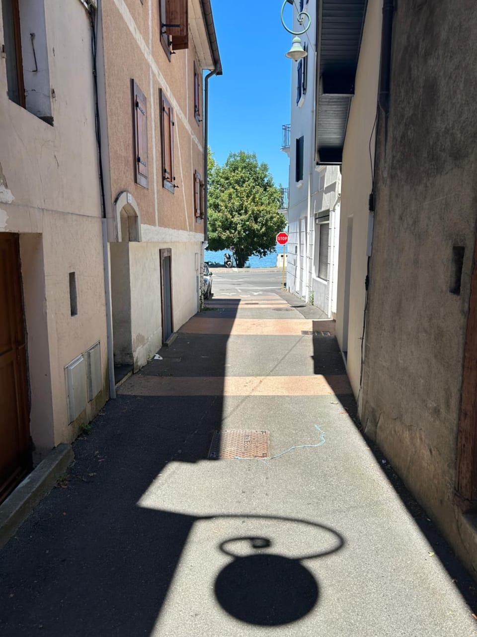La Pistacherie à 30m de la plage de Grande Rive Apartment in Évian-les-Bains