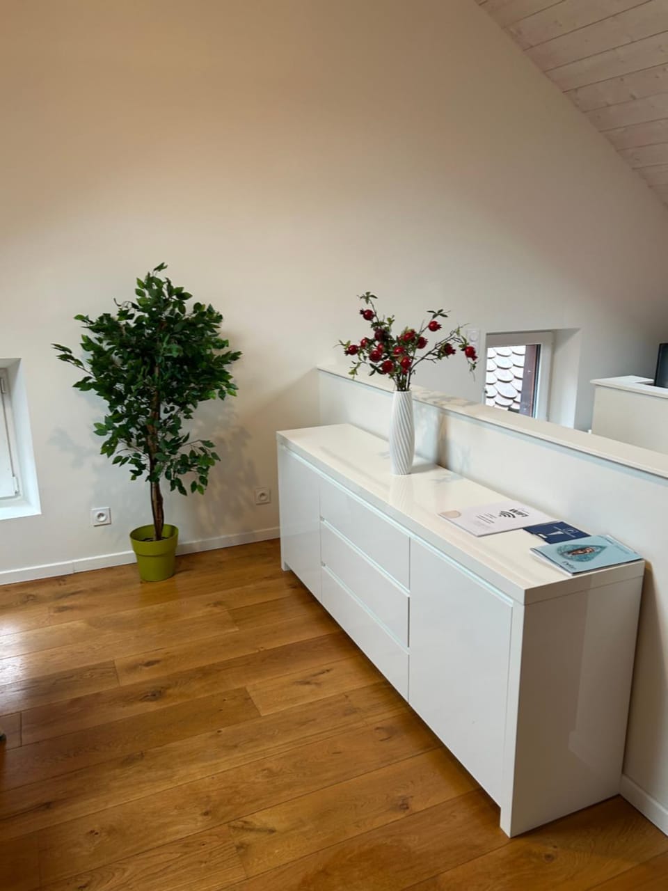 La Pistacherie à 30m de la plage de Grande Rive Apartment in Évian-les-Bains