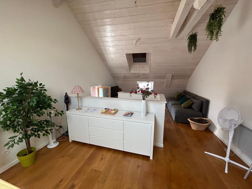 La Pistacherie à 30m de la plage de Grande Rive Apartment in Évian-les-Bains