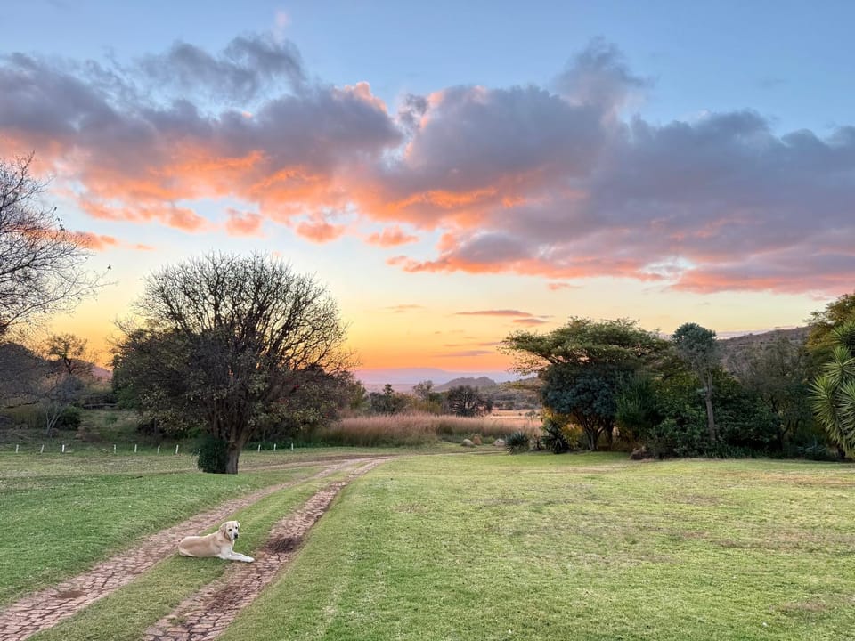La Ronel Guest Farm Farm Stay in South Africa